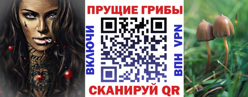 ОМГ ОМГ tor  Заинск  Галлюциногенные грибы Cubensis  даркнет сайт 